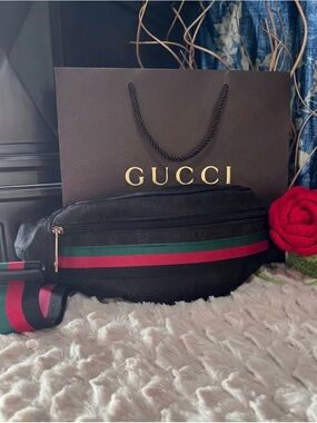 nwot Canvas Belt Bag